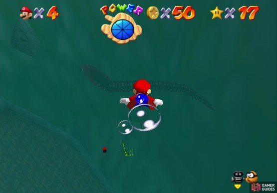 If done right you can see the eel swimming around