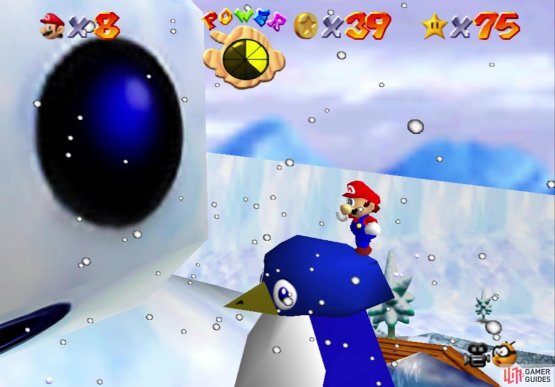 You can climb onto the penguin’s head