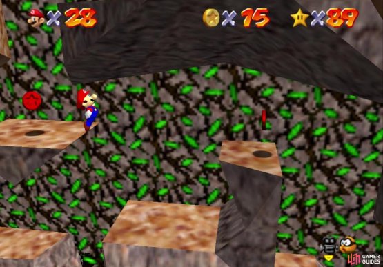 The other set of coins are on the ledges along the ivy wall