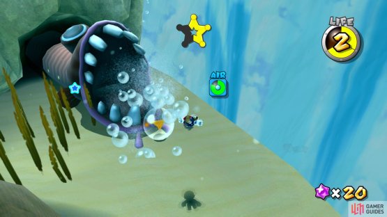 Watch out for the eels
