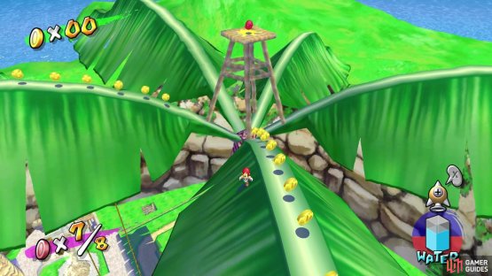 Head up to the top of the tallest palm tree