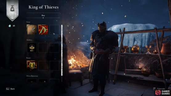 The Hidden Merchant here is named the King of Thieves, and sells various useful upgrades and items.