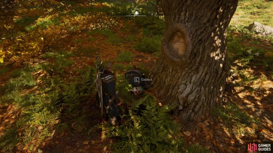 You&rsquo;ll be able to loot the artifact from the ground, lying beneath a tree.