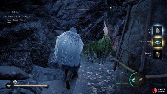You can exit the cave by moving the boulder at the back.