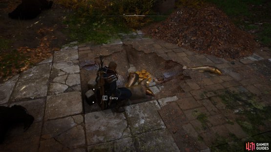 You can loot the artifact from the ground once you&rsquo;ve dealt with the bears.