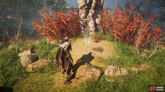 You&rsquo;ll find the treasure directly beneath the tree.