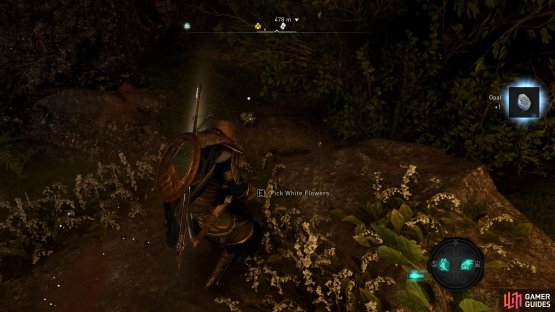 Be sure to pick a white flower from the cave before you leave.