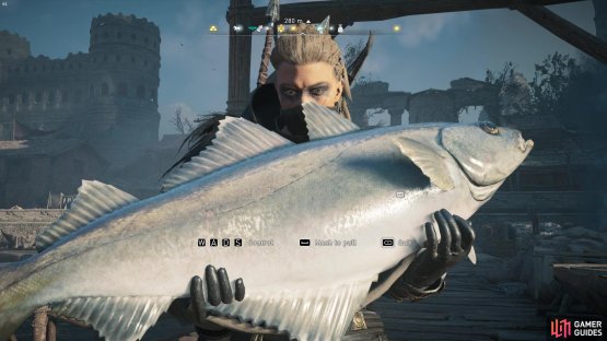 then you&rsquo;ll need to catch a fish to grab the necklace.