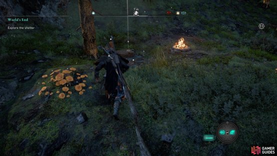 near a small camp.