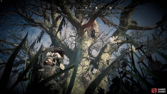 where you&rsquo;ll need to shoot a skull found in the tree&rsquo;s branches.