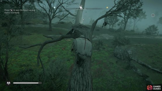 you&rsquo;ll need to climb the tree and collect the artifact from a bird&rsquo;s nest.