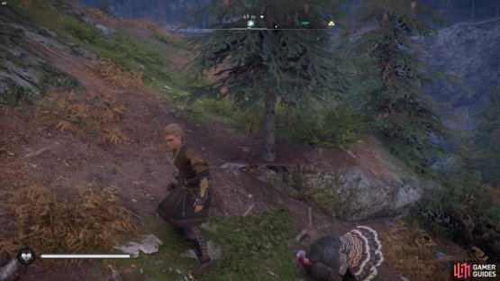 you&rsquo;ll need to lead it up the hill and over to the cliffside where you spoke to the woman.