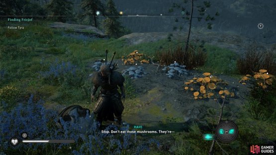 Frodri eats some poisonous mushrooms