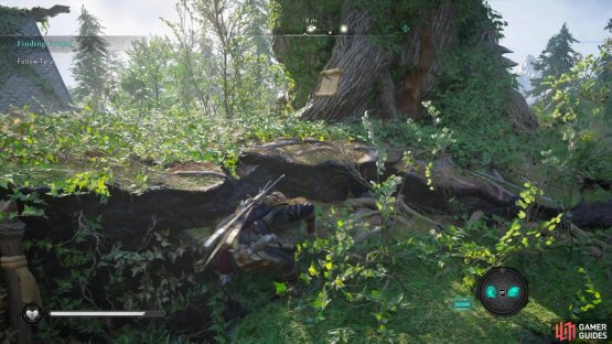 nailed to a tree in the village.