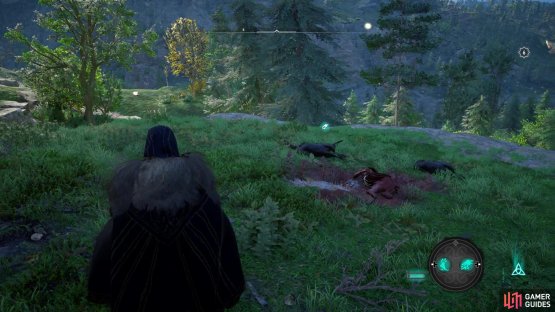 it&rsquo;s found nearby a dead body surrounded by ravens. 