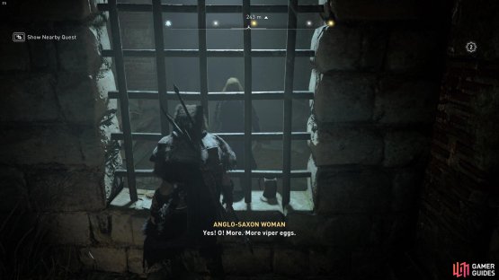 The woman will ask you to collect her viper eggs