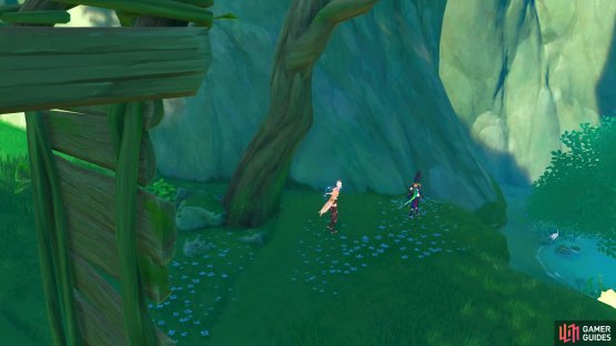 Tighnari will take you away from Collei, so she can rest.