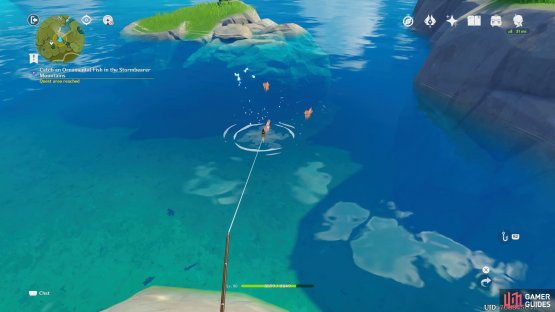 Throw the hook just in front of the fish.
