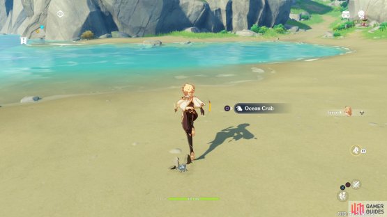 Grab any crabs you find on the beach but watch out, they&rsquo;re fast!