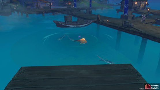 Here&rsquo;s a visual of the Ritou Docks Fishing Point.