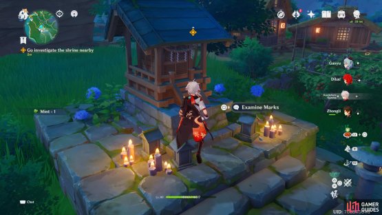 Check the Marks on the shrine