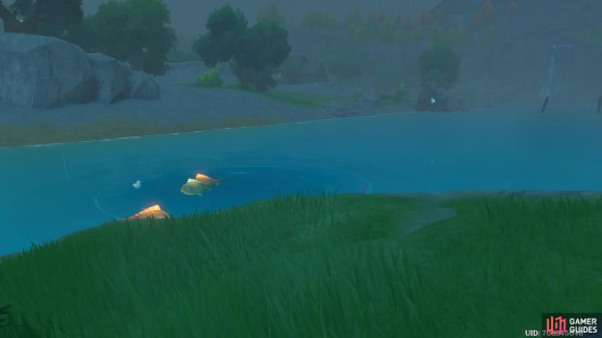 Here is a visual of the Dawn Winery Fishing Point.