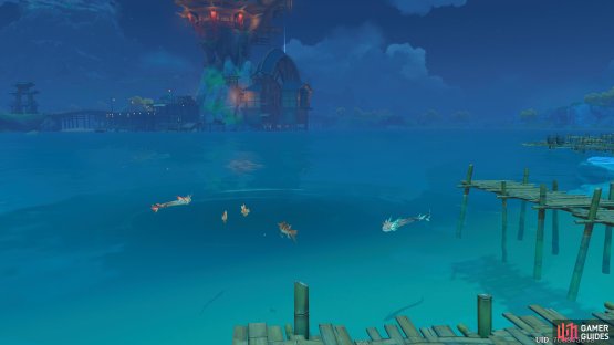 Here is a visual of the West Wushang Inn Fishing Spot.