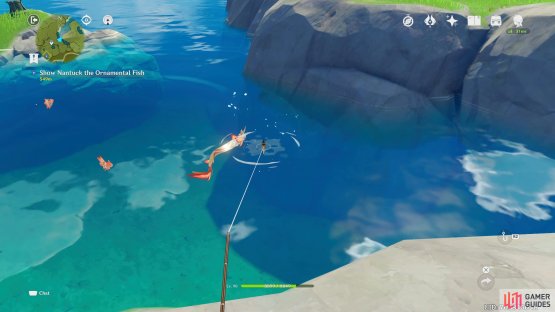 If you try to catch a fish with the wrong bait, they&rsquo;ll check it out by going over to the bait, before swimming away.