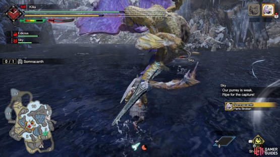 When your Palico informs you that the monster is weak, then stop attacking and place a trap!