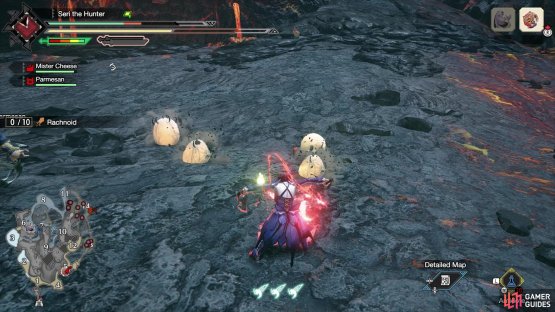 they tend to be found in small groups.