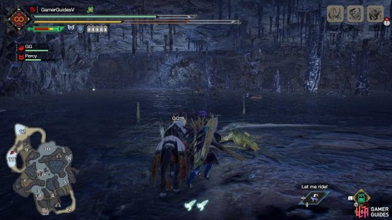 Zamite in Area 11