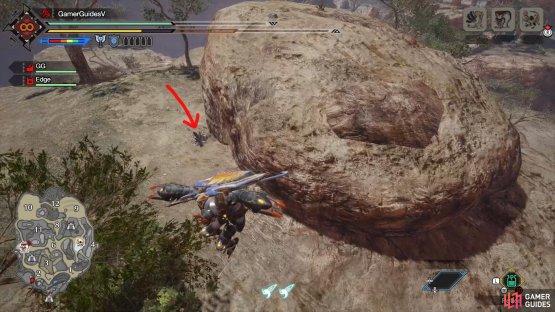 Launch yourself using the great wirebug at the end of the tunnel near the main camp.