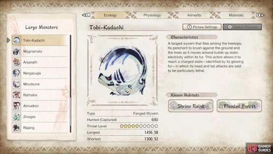 Tobi-Kadachi&rsquo;s profile in the Hunter&rsquo;s Notes.
