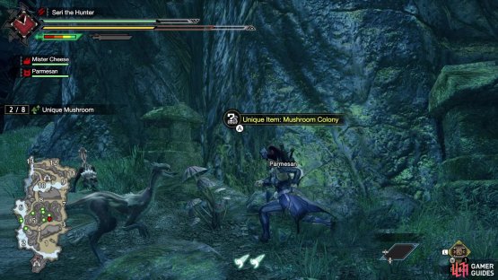 You&rsquo;ll find Mushroom Colonies mostly at the center of the map