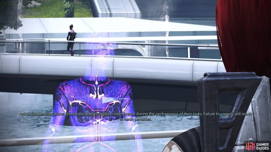 Avina terminals - like the one near the Citadel Tower - will often yield Codex Entries.