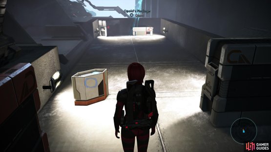 Go pick up Opold&rsquo;s Package to give yourself more options while in Port Hanshan.