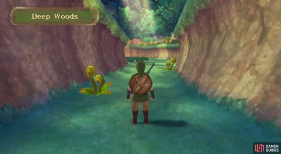 Deep within the Deep Woods&hellip;