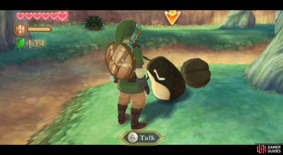 Eventually, you can just walk over and talk to the Kikwi.