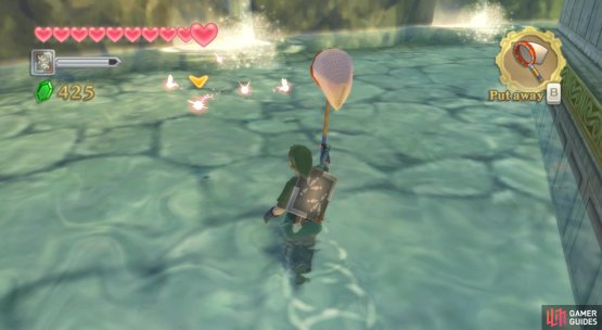 If you have an Empty Bottle, you can catch fairies.