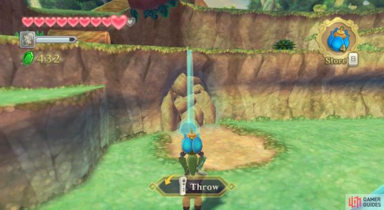 Remember the place where you befriended the first Kikwi?