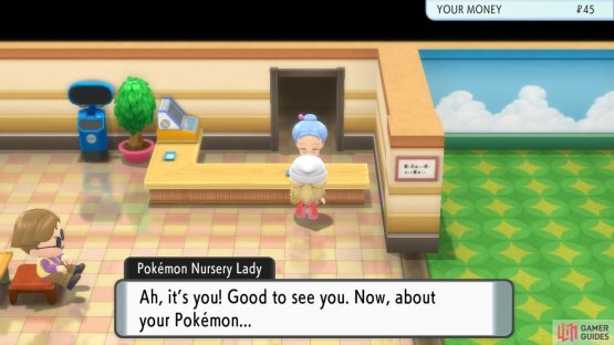 Simply fly back to Solaceon Town to pick them up when you&rsquo;re ready