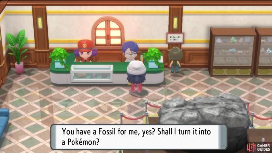 Take a fossil to the Scientist at the Mining Museum