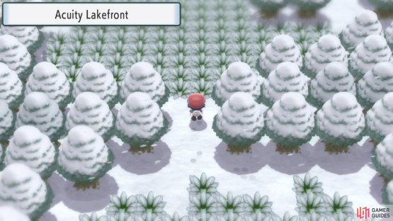 Acuity Lakefront is a small area that serves as the lake entrance.