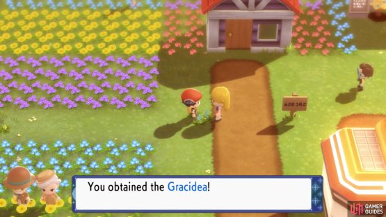 Speak to this woman to receive a Gracidea.