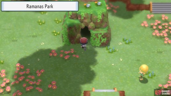 The Discovery Room is straight ahead when you enter Ramanas Park.