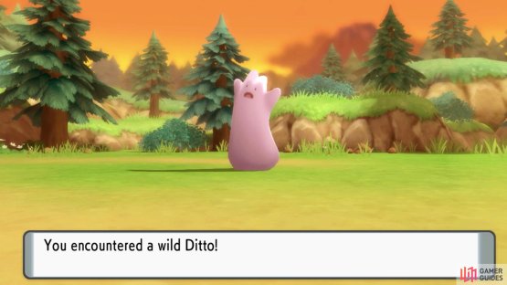 Ditto at Route 218.