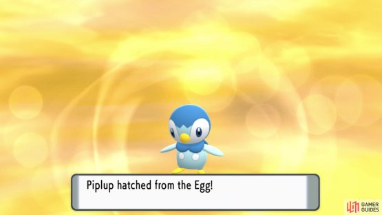 The newly hatched Pok&eacute;mon will be Level 1 and in its unevolved form.