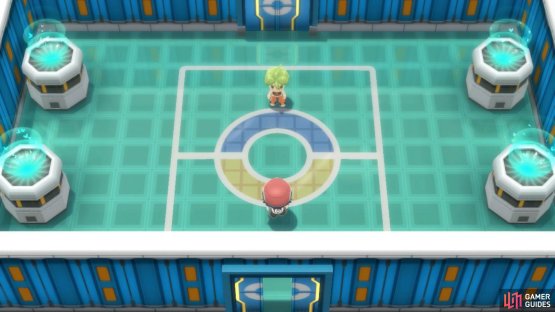 Aaron is the first Elite Four member.