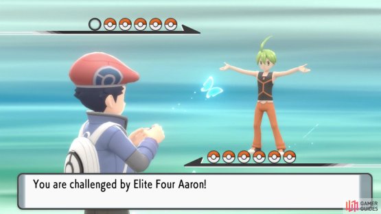 He&rsquo;s the Bug-type master.