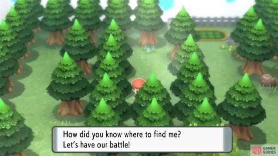 Go north towards the Gym Leader&rsquo;s area, then west and south into the first dead end.